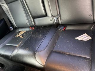 2016 Dodge Challenger SXT Plus - Interior Rear Seat Image